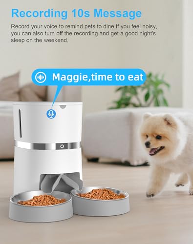 Automatic Cat Feeder with Two-Way Splitter and Double Bowls Y82627
