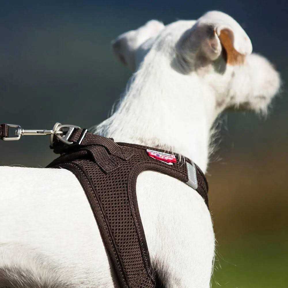 Air-Mesh Vest Dog Harness J46245