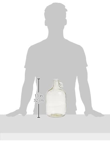 1 Gallon Clear Glass Fermenter Jug B253