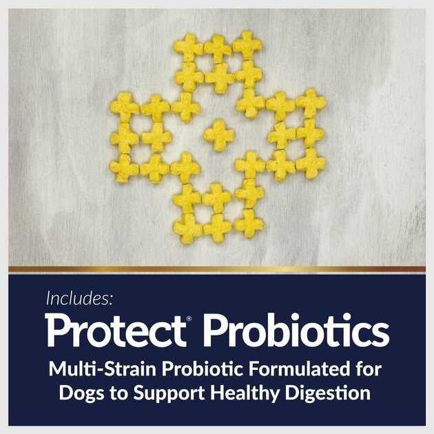 20 oz Digestive Care Dog Treats A354207