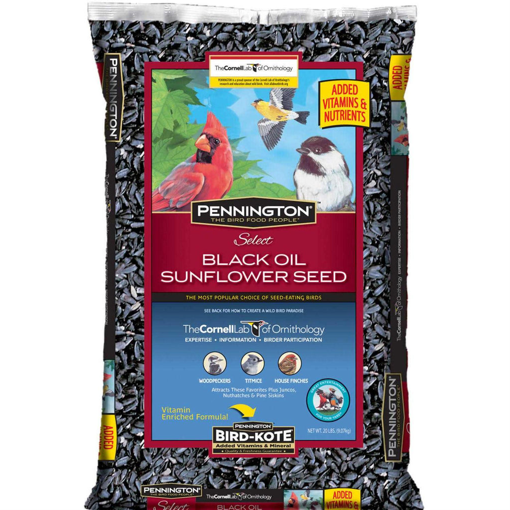 Black Oil Sunflower Seed Wild Bird Feed O277984