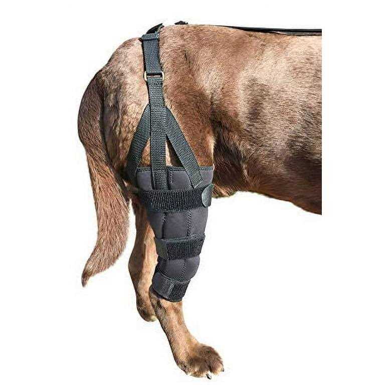 Metal Hinged Knee Brace for Dogs S644692
