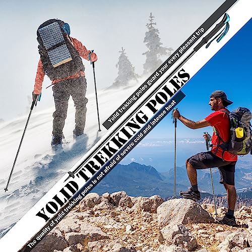 Collapsible Lightweight Trekking Poles Z572