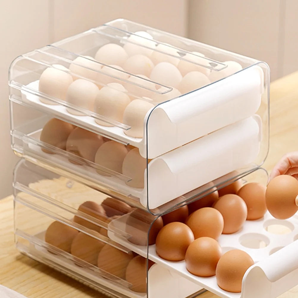 Egg Carton Organizer Storage Box H6954