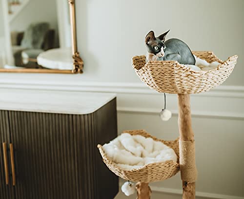 Cat Tree Tower T831089