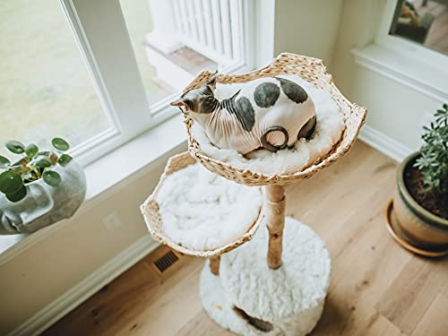 Cat Tree Tower T831089