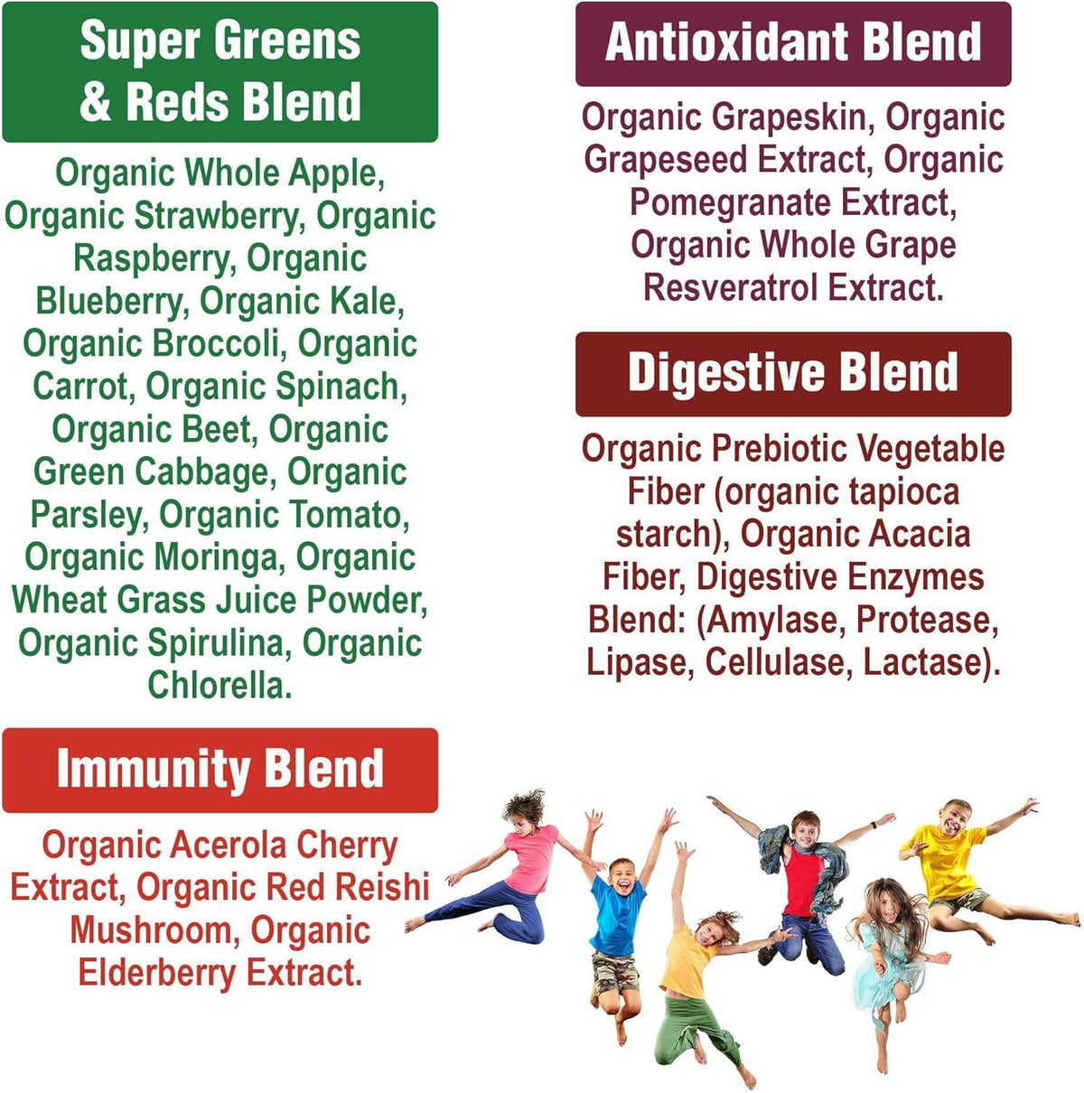 Organic Vegan Superfood Powder with 25+ Fruits and Vegetables X458791
