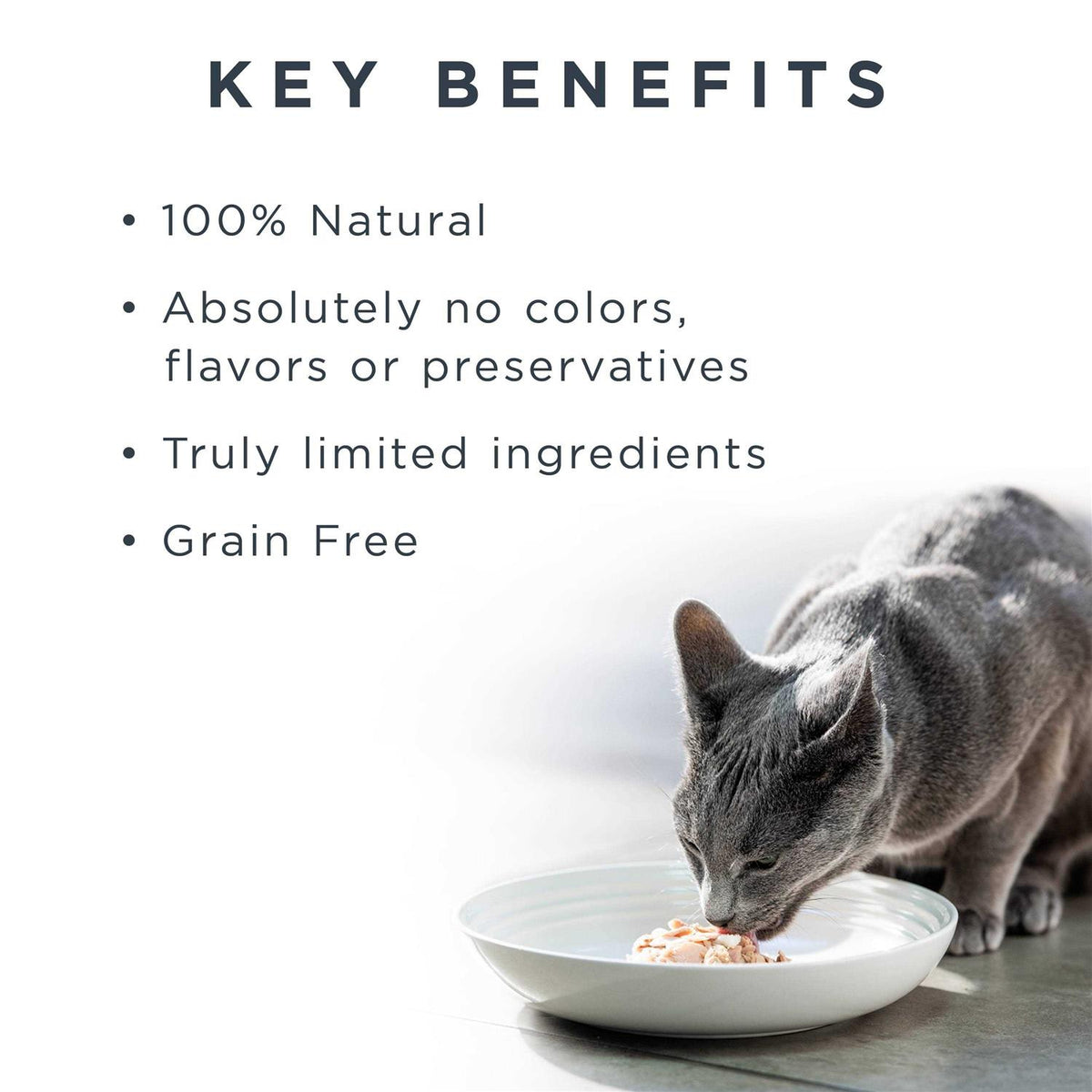 Grain Free Chicken Selection in Broth Cat Food T168