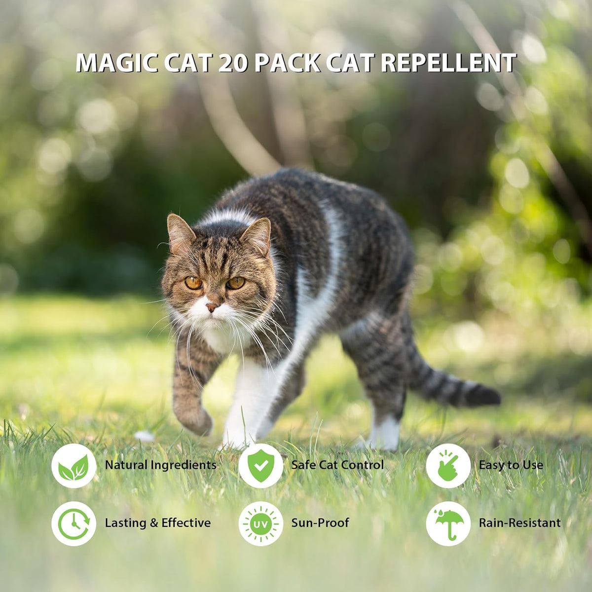 20 Pack Peppermint Oil Cat Deterrent R733445