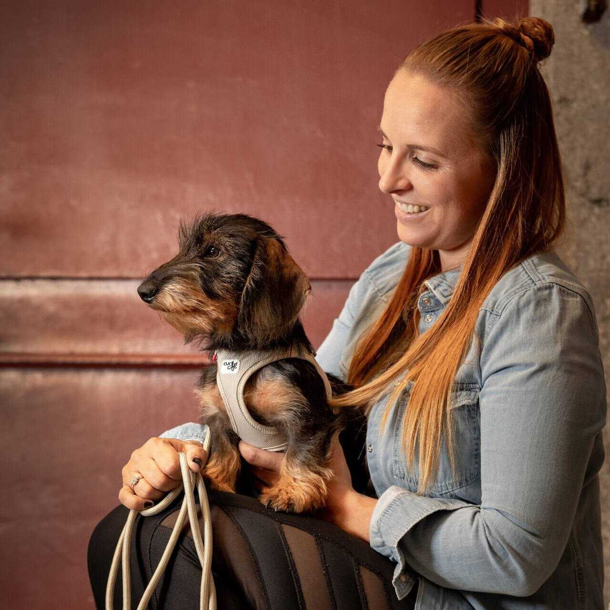 Air-Mesh Vest Dog Harness J46245