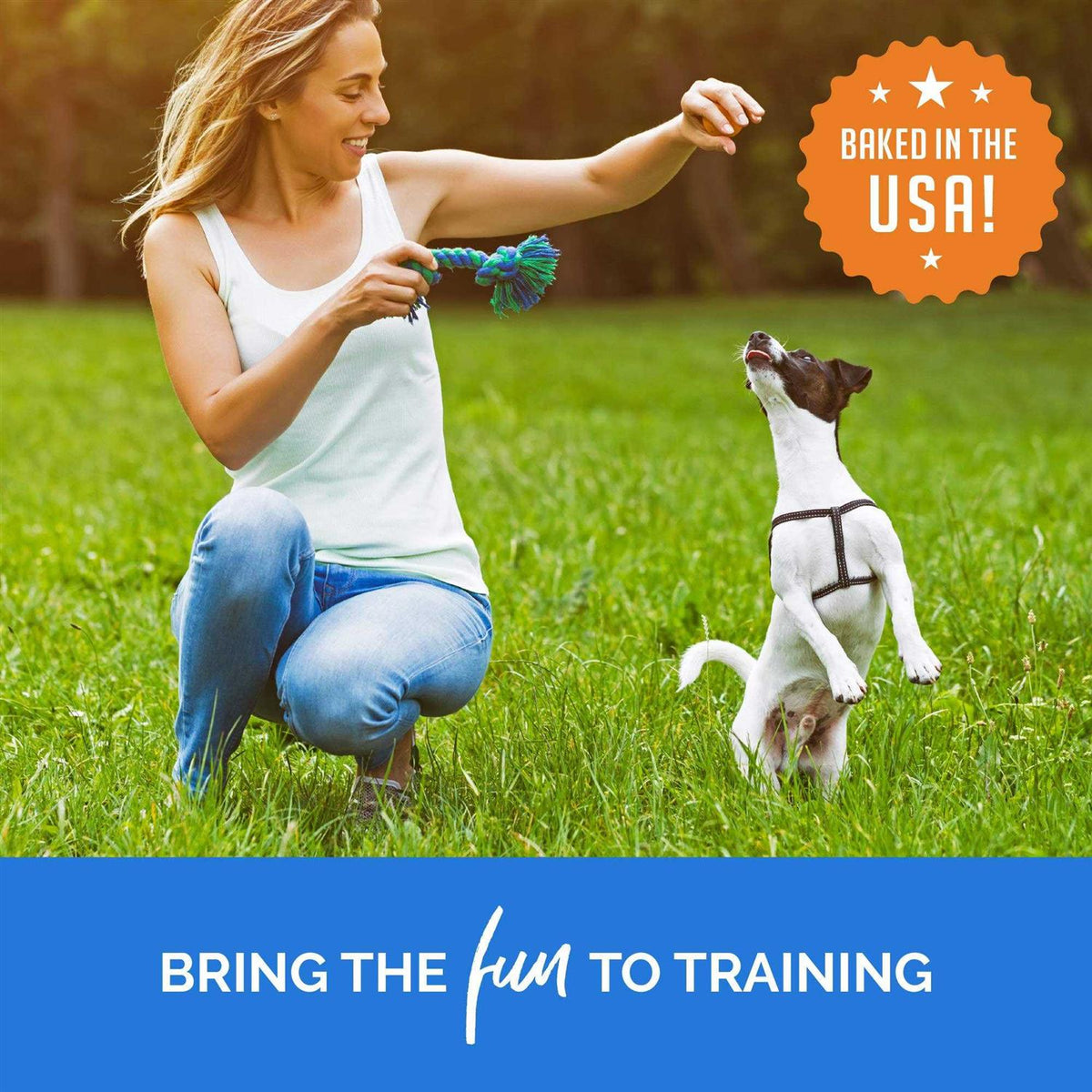 Training Bites Dog Treats I88182
