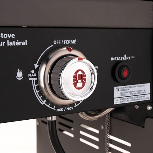 2-Burner 30,000 BTU BBQ Gas Grill in Black M275