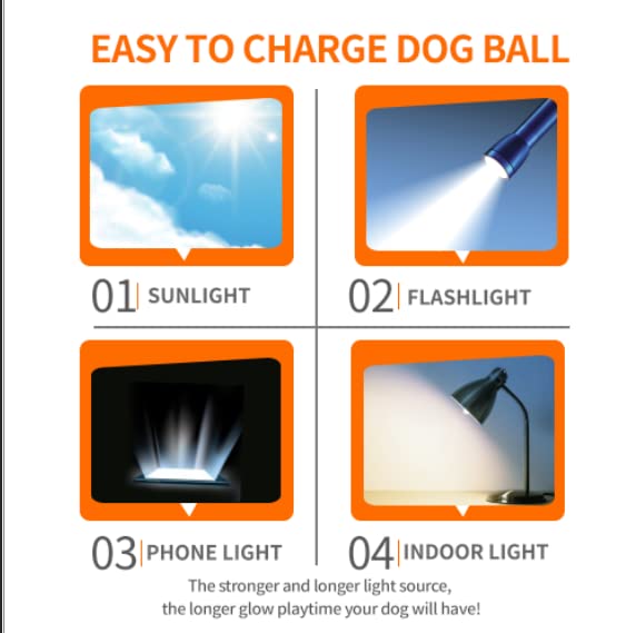 Interactive Squeaky Dog Ball, Light Up, Floating, Durable TPR, 2.5 Inches, 1 Pack F9922