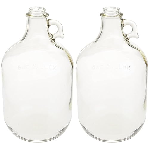 1 Gallon Clear Glass Fermenter Jug B253