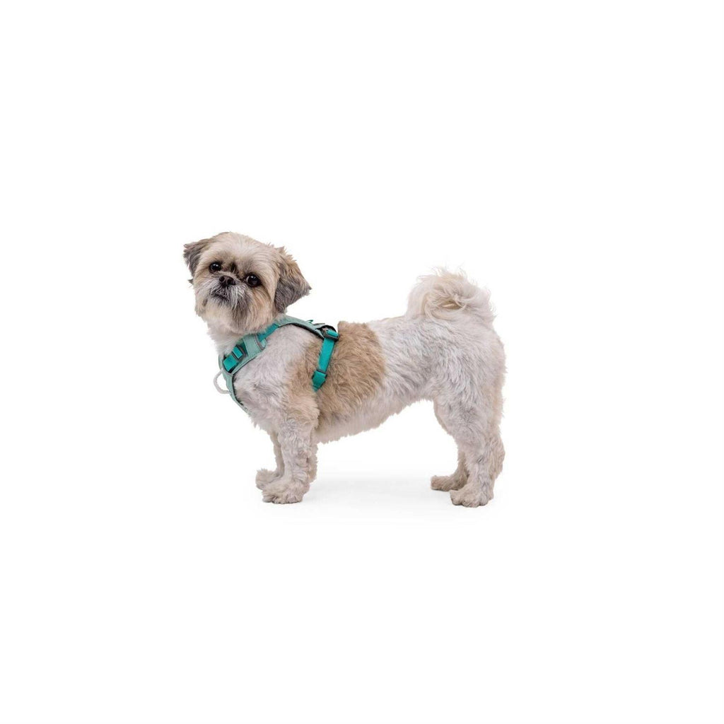 Hi & Light Dog Harness D717756
