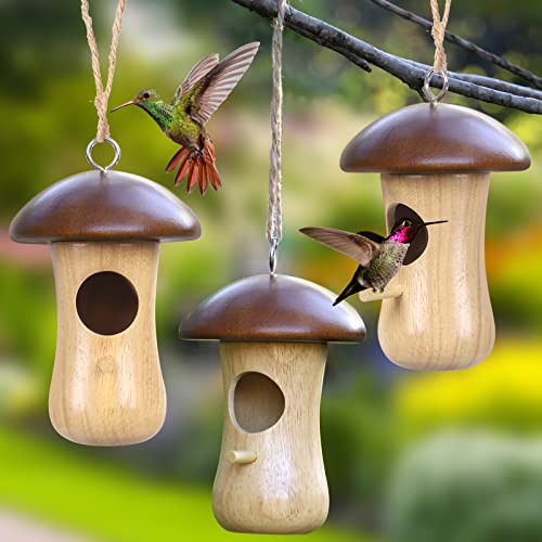Hanging Hummingbird Nest Branches with Leaf (1 PCS) R5781