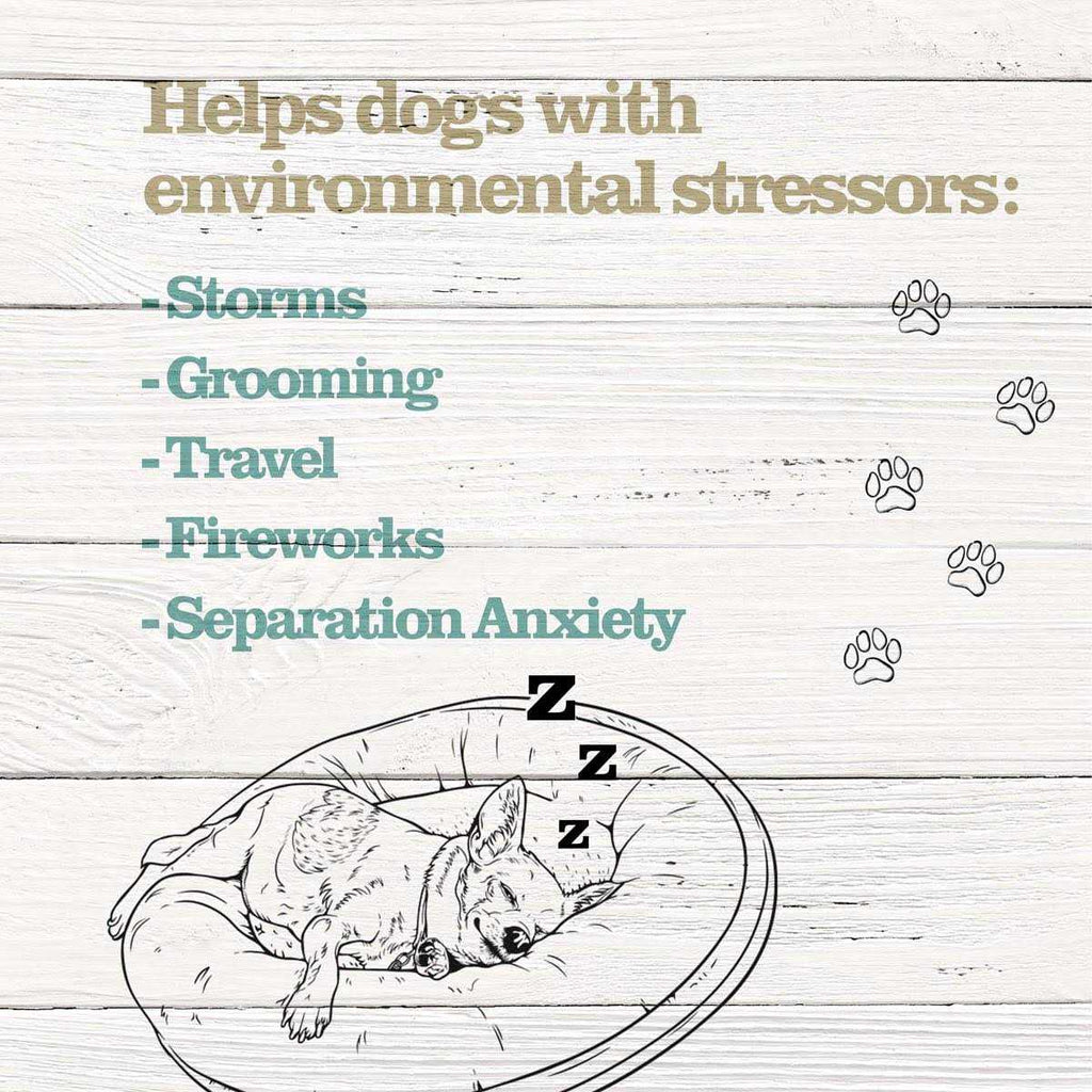 Calming Treats for Dogs Q97469