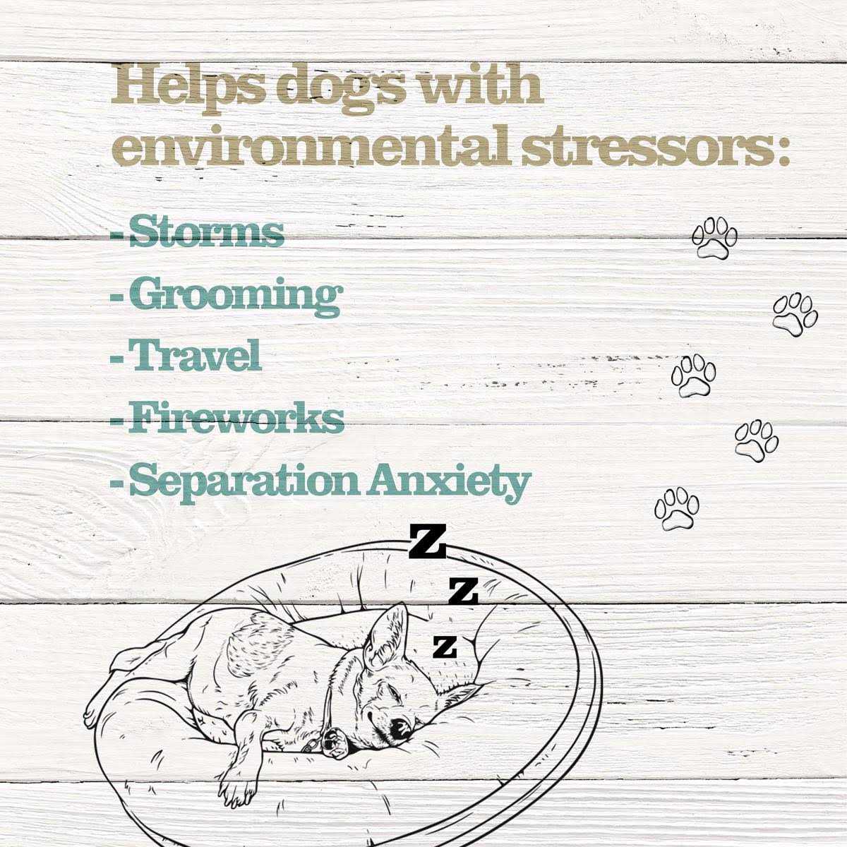 Calming Treats for Dogs Q97469