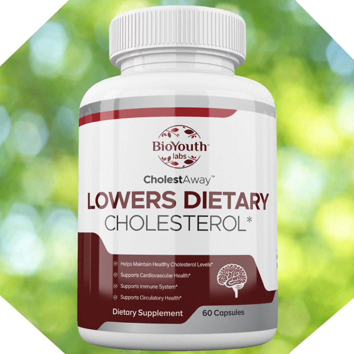 100% Natural Cholesterol Supplement R435256