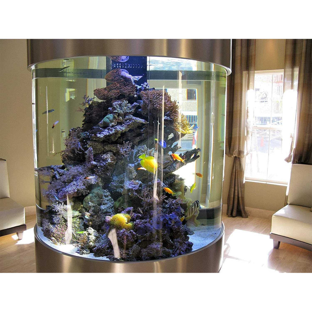 Activated Charcoal for Aquariums and Fish Tanks C73209