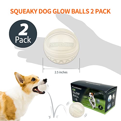 Interactive Squeaky Dog Ball, Light Up, Floating, Durable TPR, 2.5 Inches, 1 Pack F9922