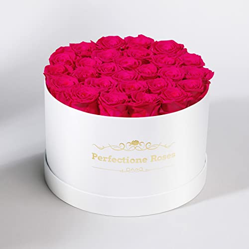 Real Roses in a Box, Preserved Rose (Dusty Rose) I659499