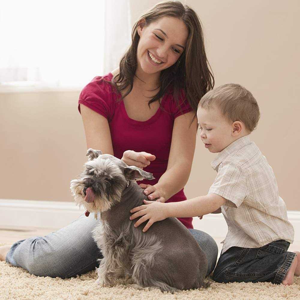 Folding Pet Stroller with Cup Holder L3496
