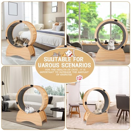Large Wooden Cat Exercise Wheel with Lock Feature X485
