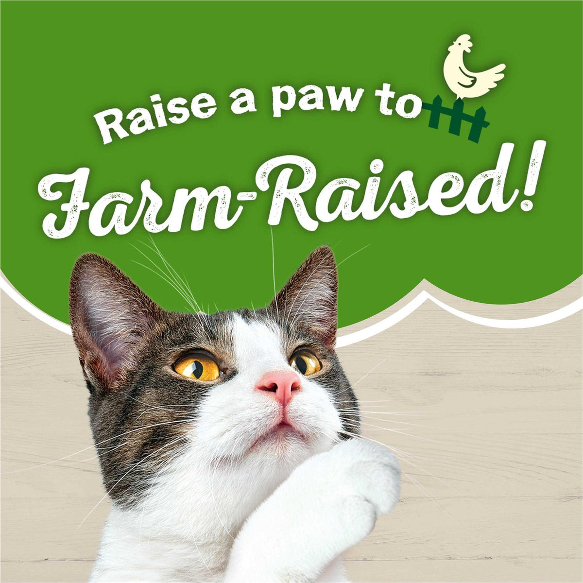Farm Favorites Pate Wet Cat Food Variety Pack S287