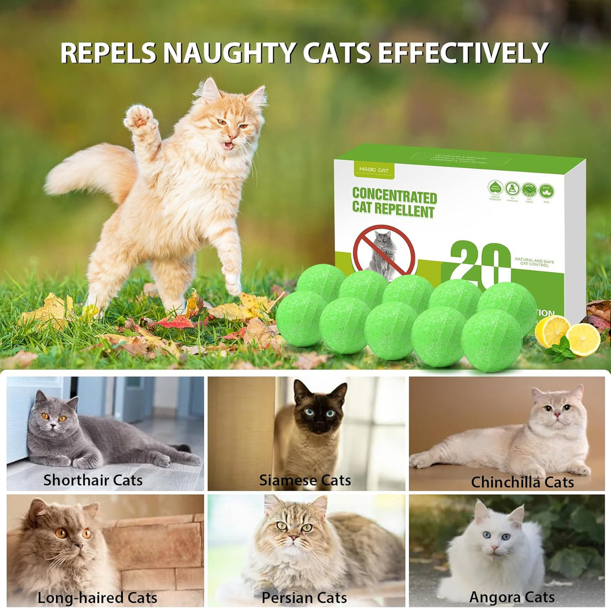 20 Pack Peppermint Oil Cat Deterrent R733445