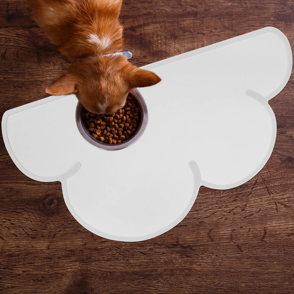 2 Count Silicone Pet Placemat K7031