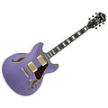 Metallic Purple Flat Semi-Hollow Electric Guitar M46426
