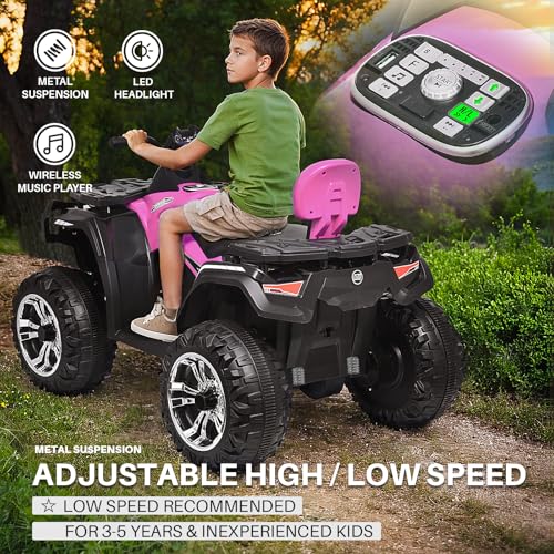 24V 2 Seater Kids Ride on ATV Car 4WD Quad Electric Vehicle R537400