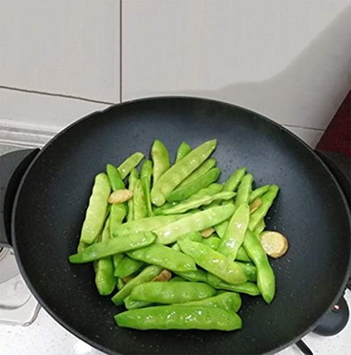 Non-Stick Electric Wok Z1754