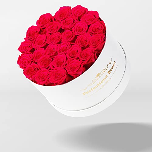 Real Roses in a Box, Preserved Rose (Dusty Rose) I659499