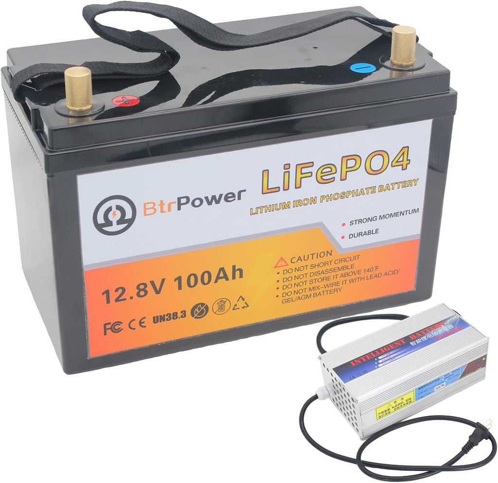 12V 100AH Lithium LiFePO4 Battery with Built-in 100A BMS L17412