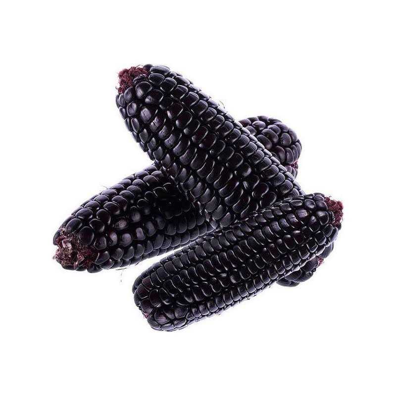 Purple Corn Cob L1626