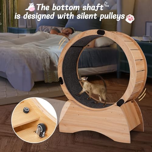 Large Wooden Cat Exercise Wheel with Lock Feature X485