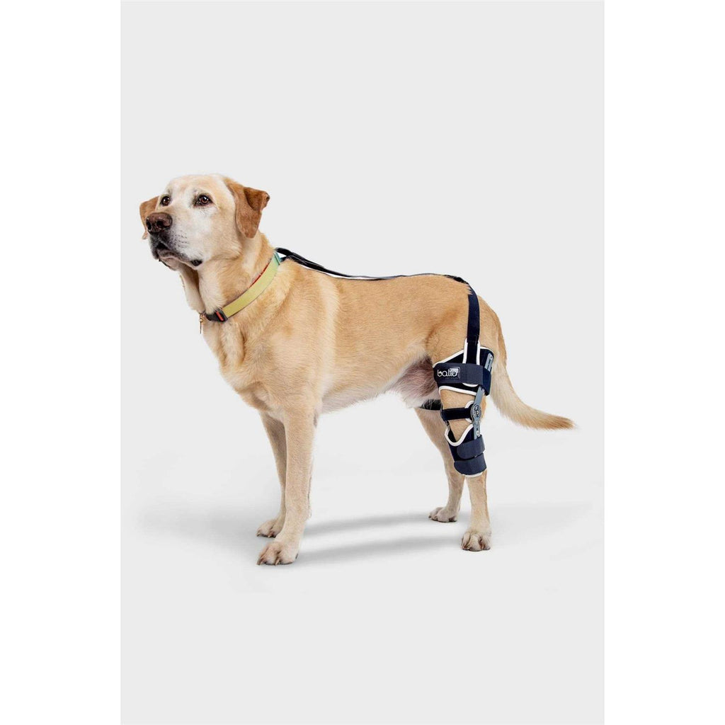 Adjustable Hinged Dog Knee Brace F111