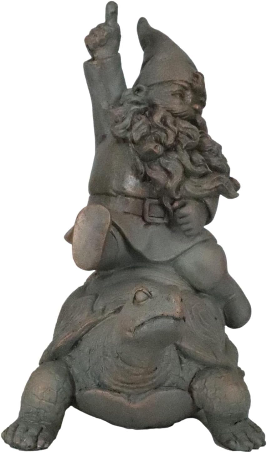 Mr Gnome Sitting On Wild Rodeo Giant Tortoise Figurine D366