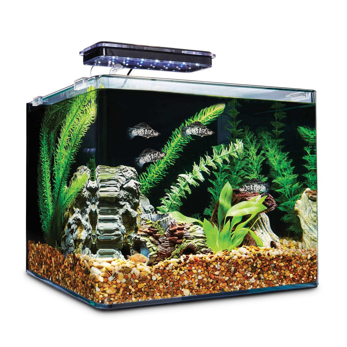 Frameless Freshwater Aquarium Kit M3121