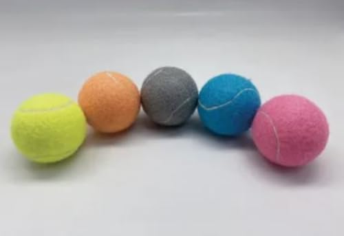 12 Pack 2.5" Blue Dog Tennis Balls X915922