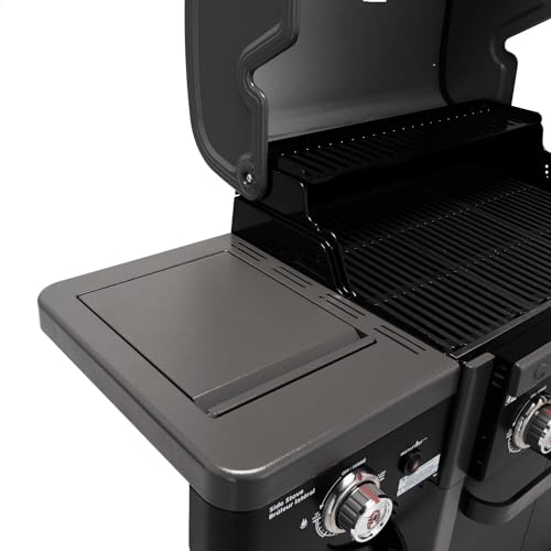 2-Burner 30,000 BTU BBQ Gas Grill in Black M275