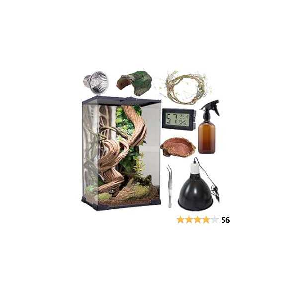 Reptile Terrarium 8 * 8 * 12 Vertical Habitat Tank Starter Kit R45091