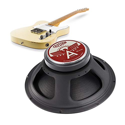 Black 12" Guitar Speaker B293078