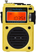 Desert Portable Shortwave Radio FM MW SW WB Receiver with Bluetooth Speaker H2870