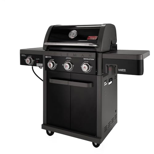 2-Burner 30,000 BTU BBQ Gas Grill in Black M275