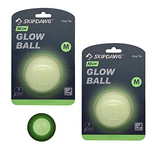 Interactive Squeaky Dog Ball, Light Up, Floating, Durable TPR, 2.5 Inches, 1 Pack F9922