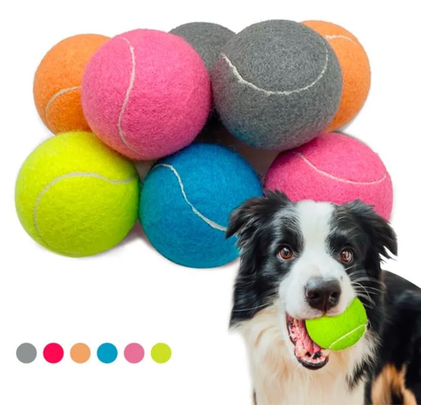 12 Pack 2.5" Blue Dog Tennis Balls X915922