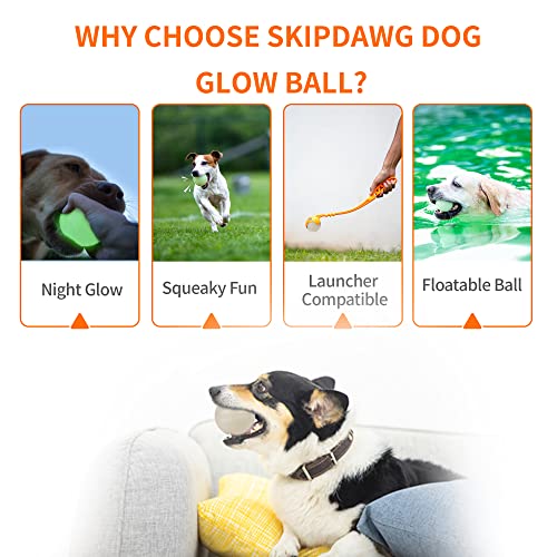 Interactive Squeaky Dog Ball, Light Up, Floating, Durable TPR, 2.5 Inches, 1 Pack F9922
